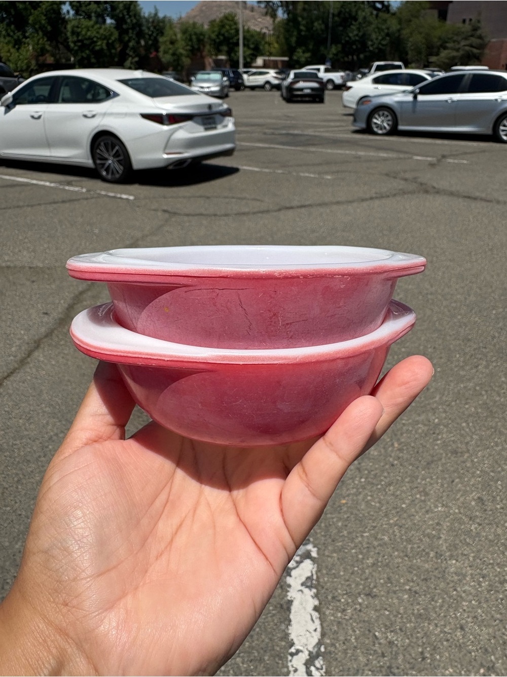 vintage Pyrex Flamingo Pink 8 oz individual casserole dishes set of 2 no lids